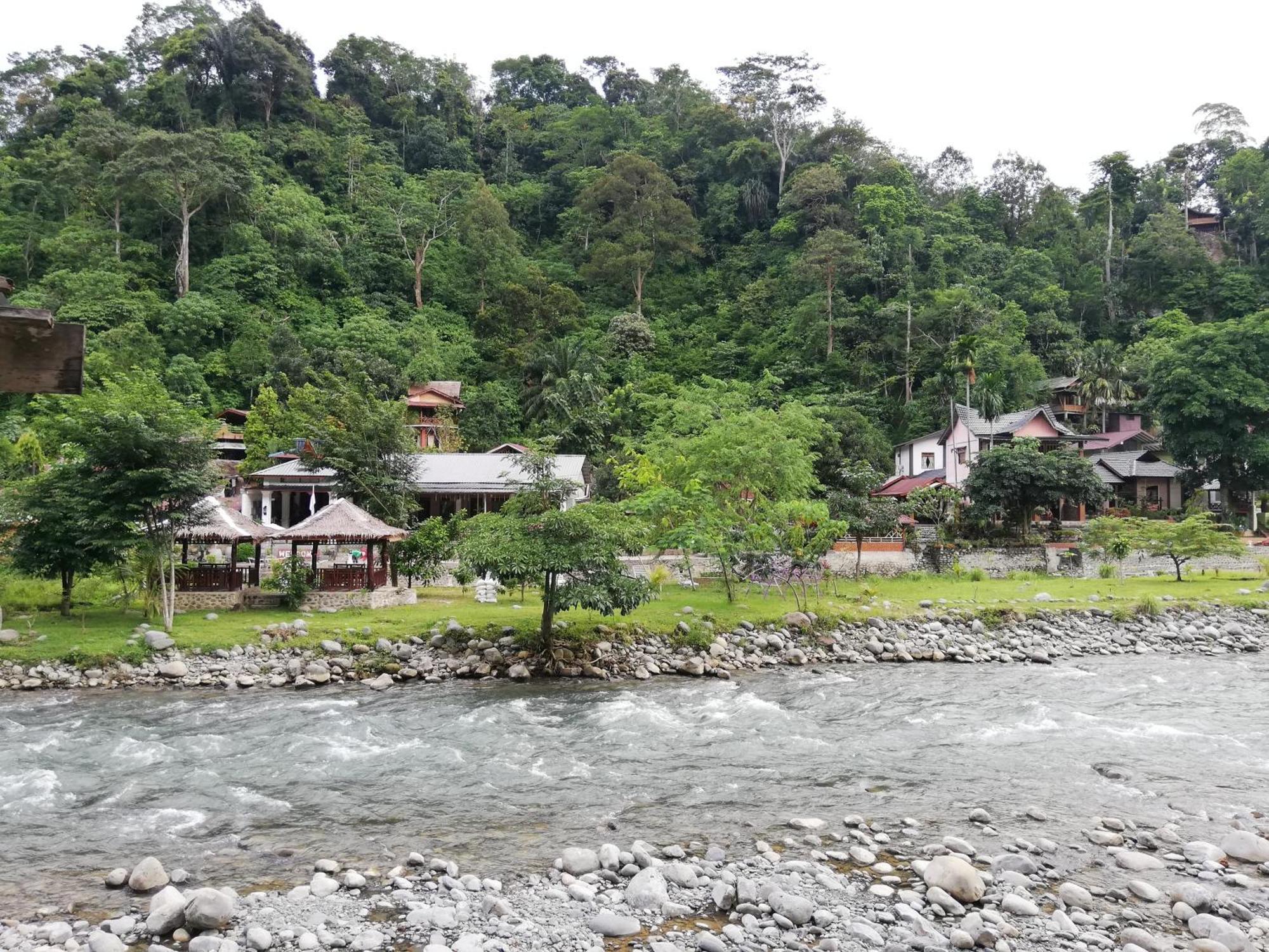 Umiyuki Jungle Tour Only Treking With As Bukit Lawang Exterior foto